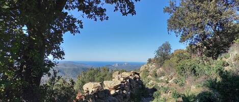 A natural landscape with rocky terrain and dense foliage.