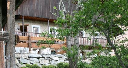 Restauriertes Chalet aus dem 18. Jahrhundert, ruhig und gesellig, 5 km von den Resorts entfernt