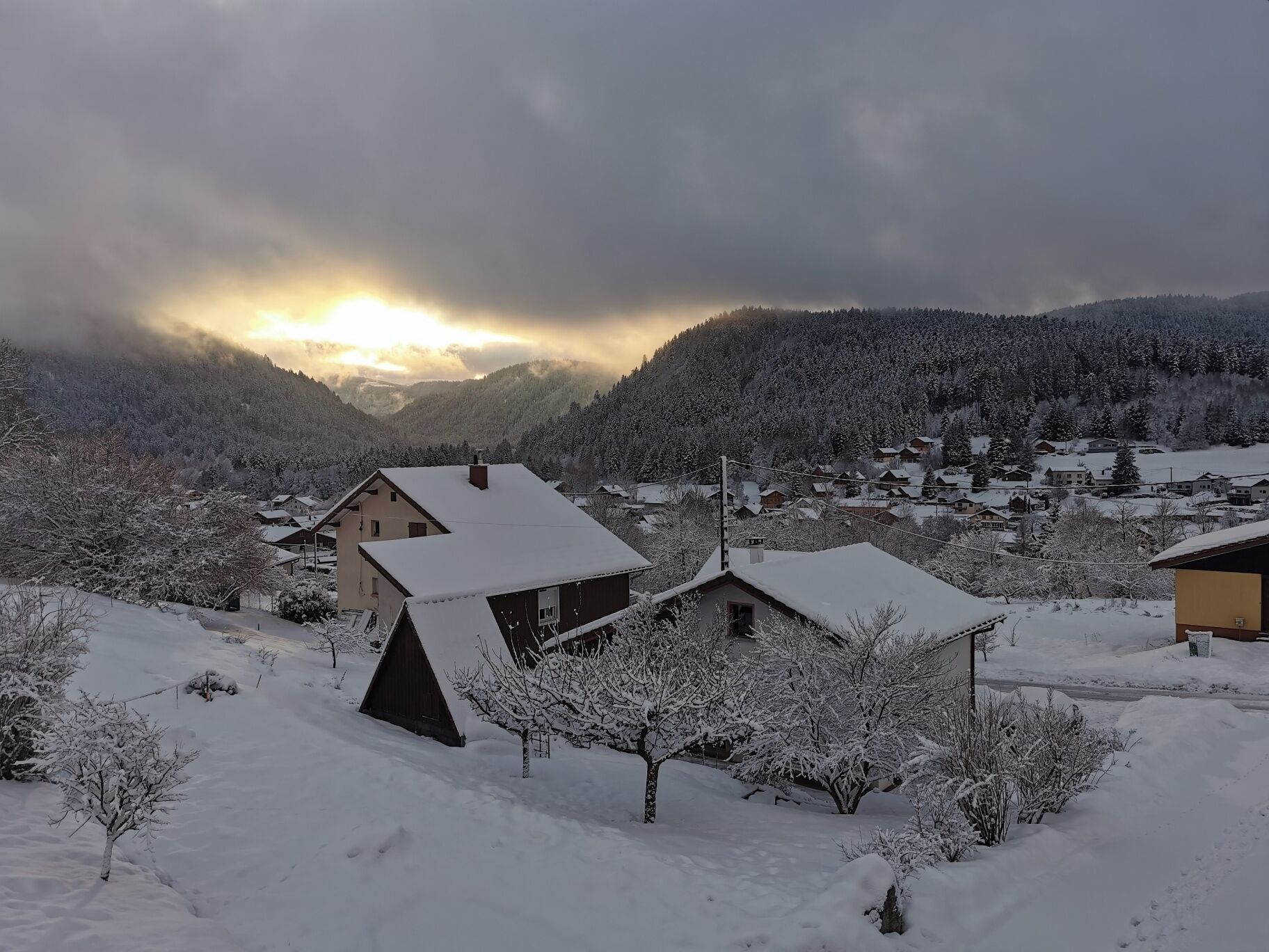 Paysage d'hiver