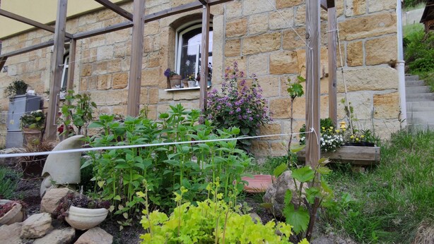 A stone building with a wooden pergola, potted plants, and a staircase leading up. - Stylishly furnished apartment in Rathmannsdorf in the Zauketal, allergy sufferers (Rathmannsdorf)