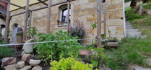 Stylishly furnished apartment in Rathmannsdorf in the Zauketal, allergy sufferers