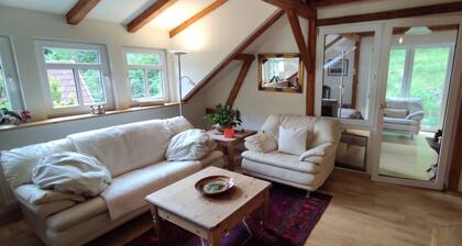 Stylishly furnished apartment in Rathmannsdorf in the Zauketal, allergy sufferers
