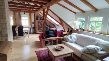 TV, fireplace, books
