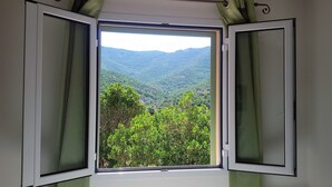 Ein Fenster mit Blick auf ein üppiges, grünes Tal und Berge.