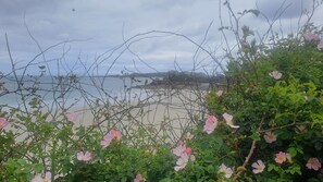 A beach with a view of the sea, some vegetation, and a cloudy sky.