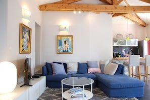 TV, fireplace, DVD player, books - ☼ La Siesta ☼ Character house with garden and terraces ☼ (La Rochelle)