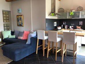 TV, fireplace, DVD player, books - ☼ La Siesta ☼ Character house with garden and terraces ☼ (La Rochelle)