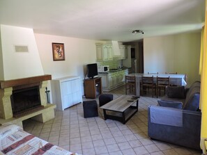 Télévision, cheminée, lecteur de DVD