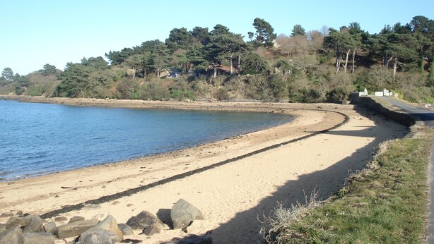 Une plage de sable bordée d’une route sinueuse, entourée d’arbres et sous un ciel dégagé.