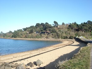 Ein sandiger Strand mit einer gewundenen Straße daneben, umgeben von Bäumen und einem klaren Himmel.