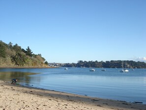 Playa en los alrededores 