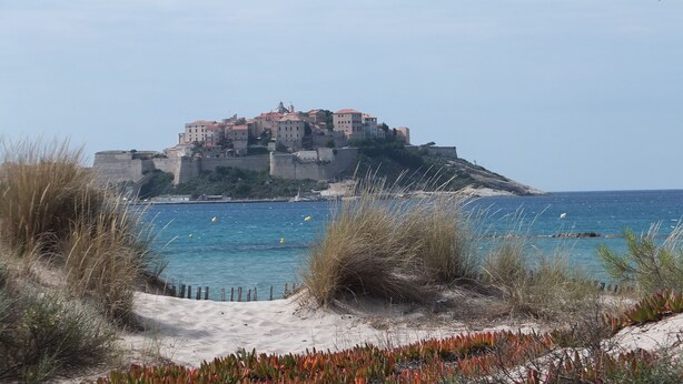A coastal town with a prominent castle-like structure on a hill, overlooking the sea. - CALVI T2 terrace for 4. Close to beaches, the city centre and all facilities (Calvi)