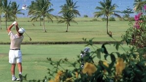 A golf course with a clear view of the ocean and palm trees in the background. - RESIDENCE VERY CALM  (Anse mitan)
