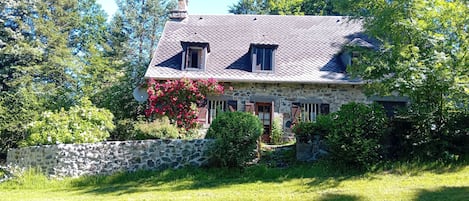 Eksteriør