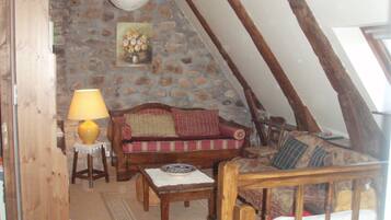 Télévision, cheminée, lecteur de DVD, livres