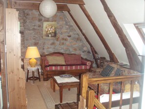TV, fireplace, DVD player, books