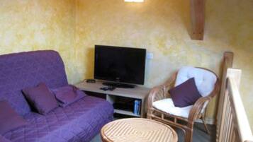 TV, fireplace, DVD player, books