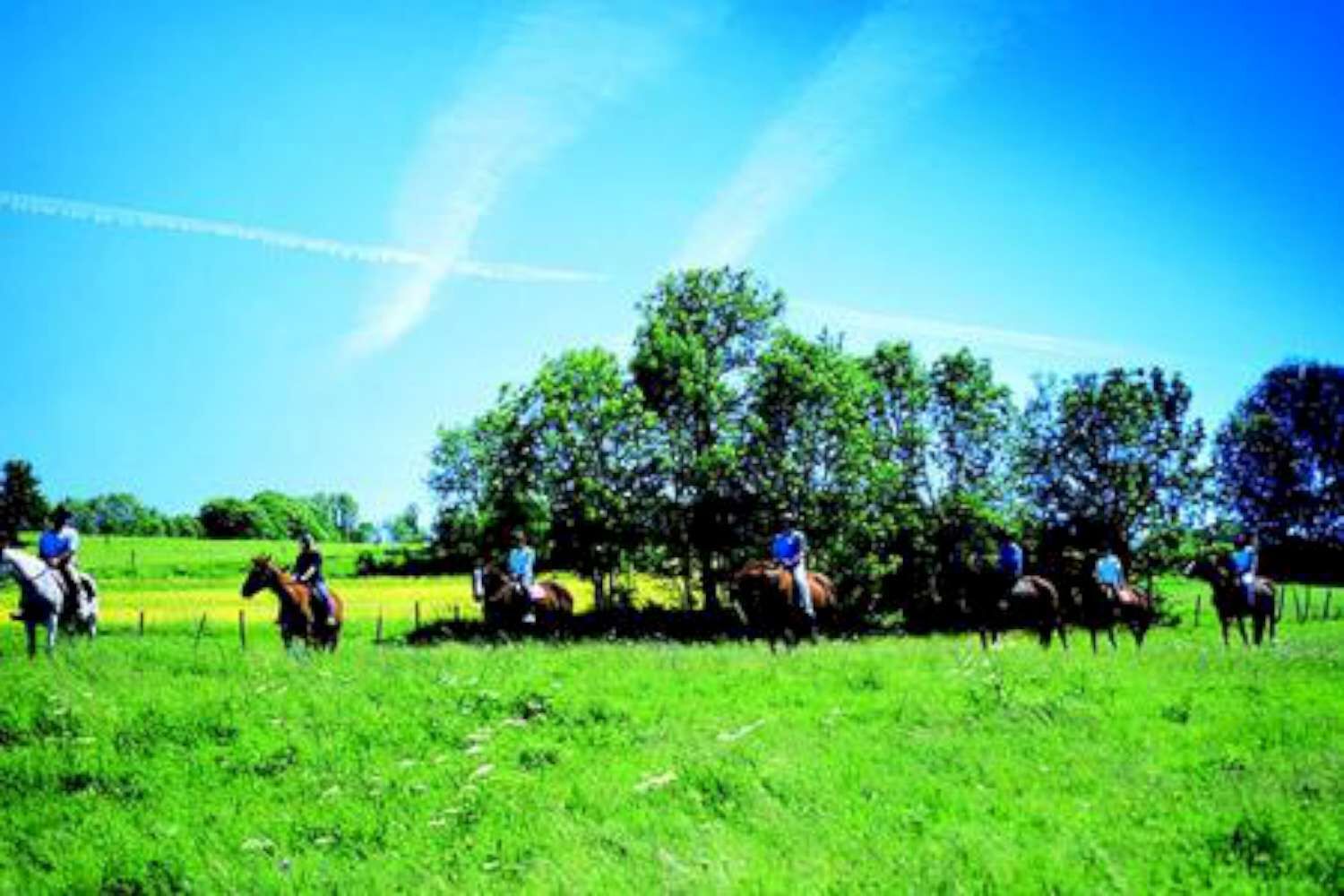 Un groupe de personnes à cheval se trouve dans un champ herbeux, avec des arbres en arrière-plan.