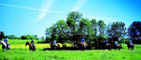 Un groupe de personnes à cheval se trouve dans un champ herbeux, avec des arbres en arrière-plan.