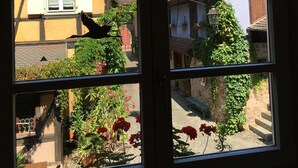 Vista desde una ventana a un patio con edificios, un pájaro en el alféizar y un rosal.