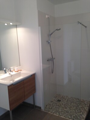 Shower, hair dryer, toilet paper