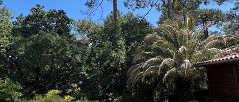 Alberca al aire libre y alberca climatizada