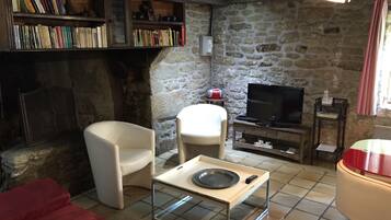 Televisión, chimenea, reproductor de DVD y libros