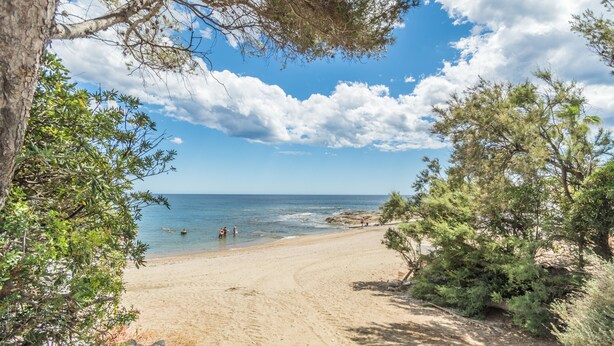 Ein Strand mit blauem Himmel, sandigem Ufer und etwas Grün.