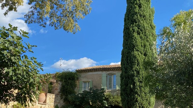 Una casa de piedra tradicional con un jardín bien cuidado, destacando un ciprés alto, plantas en macetas y un cielo azul despejado.