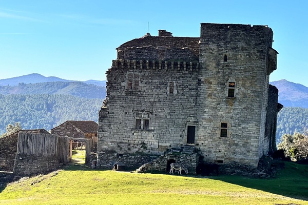château du Cheylard à Aujac