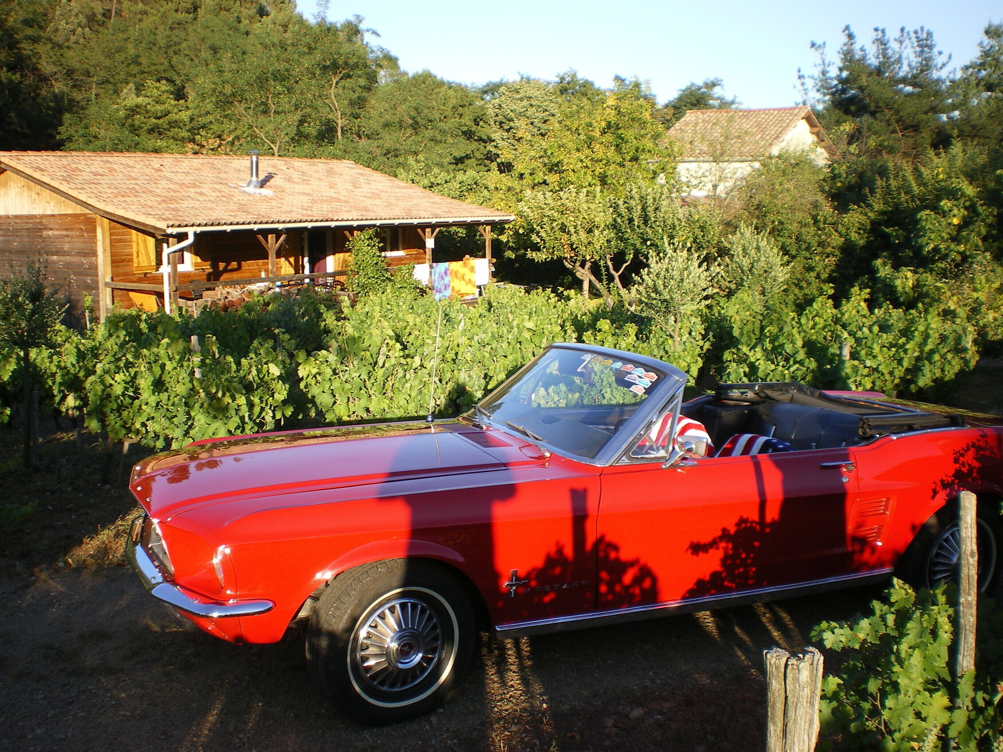 المنطقة المحيطة بالمنشأة