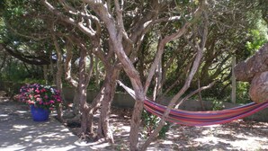 A hammock between trees, a wooden deck, and a potted plant with pink flowers. - Contemporary villa -Exceptional view of the dune-Private pool (Soorts-Hossegor)