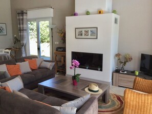 TV, fireplace, DVD player, books