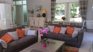 Télévision, cheminée, lecteur de DVD, livres