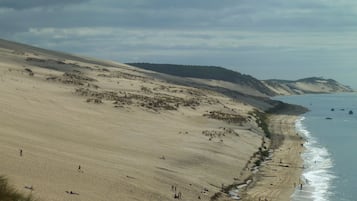 Plage, chaises longues