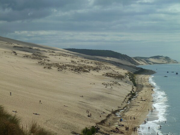 Plage, chaises longues