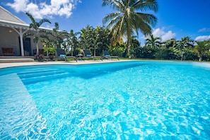 Pool - Coco (Le Vauclin)