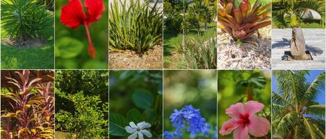 Miscellaneous