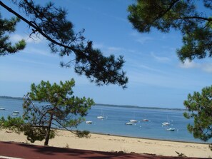 A beach with boats in the water and trees in the foreground.