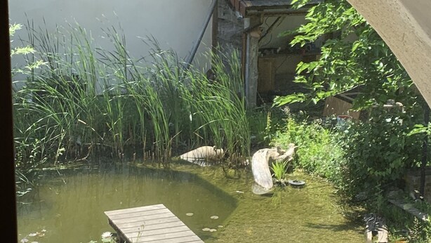 A small pond with a wooden dock, surrounded by lush greenery and a white building. - Small independent apartment in farmhouse with air conditioning (Chavanod)
