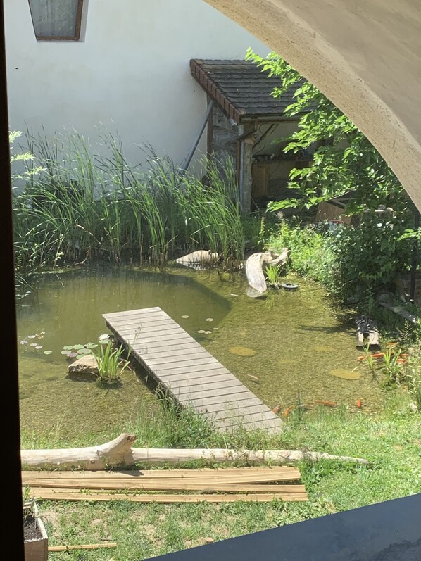 Property grounds - Small independent apartment in farmhouse with air conditioning (Chavanod)