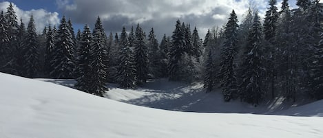 雪地及滑雪運動
