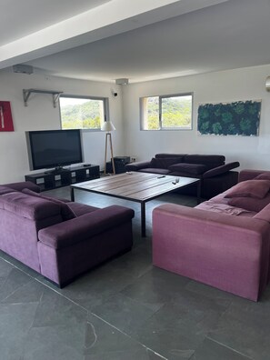 Televisión, chimenea, reproductor de DVD, estéreo