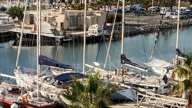 A marina with boats docked, a palm tree in the foreground, and buildings in the background. - Gruissan (Aude). Quiet apartment with marina view and parking space (Gruissan)