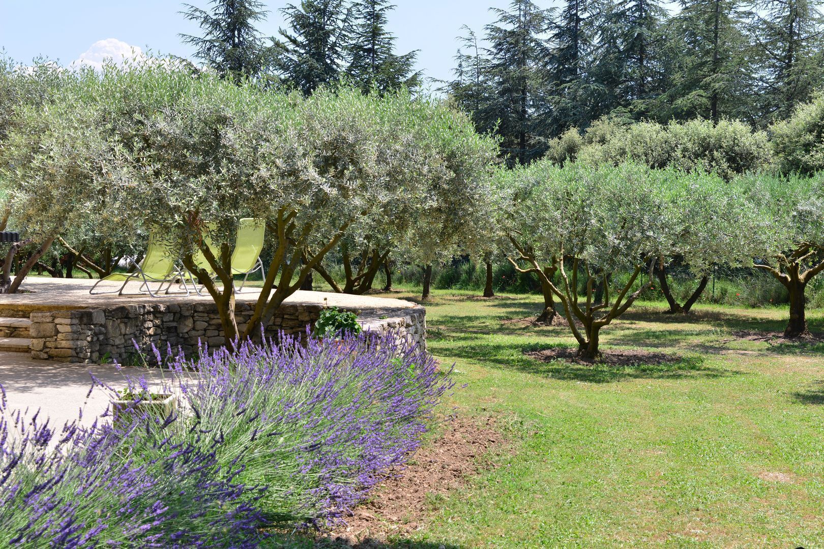 Terrein van de accommodatie