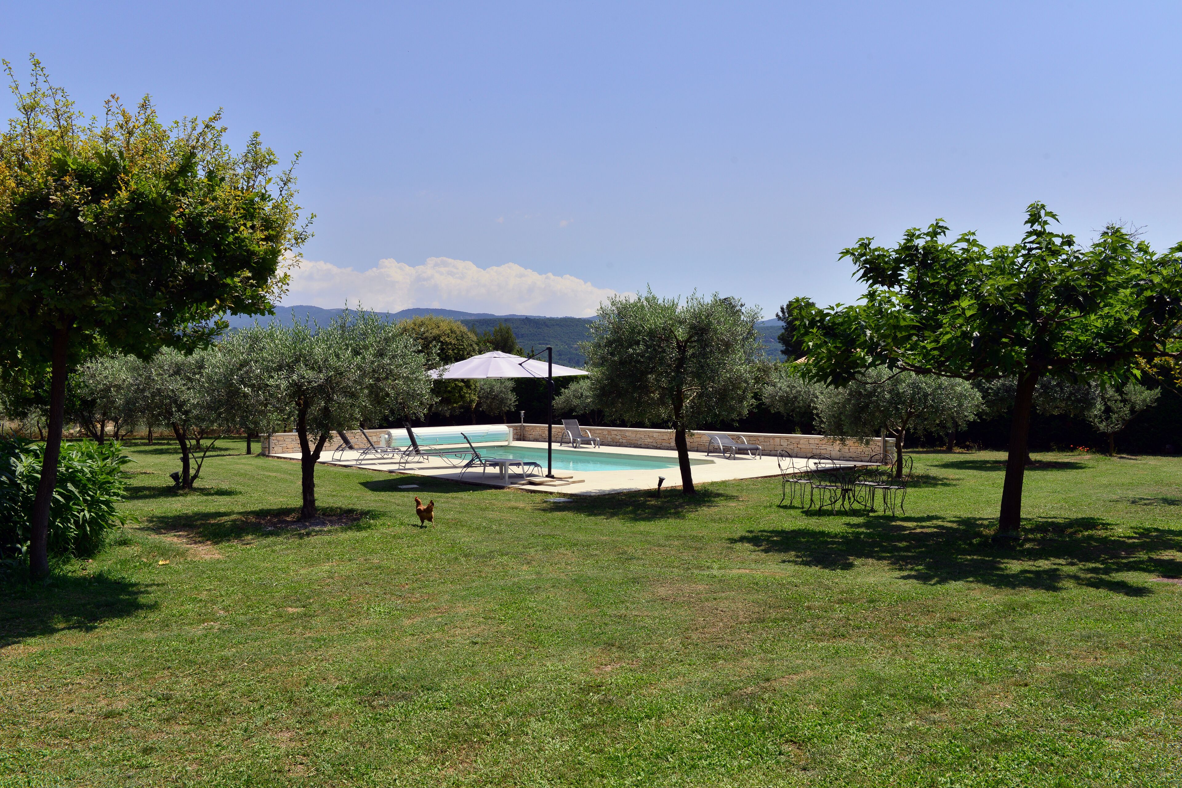 Un giardino sul retro con piscina, sedie a sdraio e un pergolato.