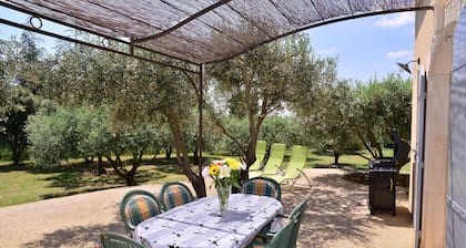 Gite face au LUBERON avec piscine et CLIMATISE