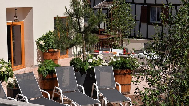 A terrace with lounge chairs, potted plants, and a dining area with outdoor furniture. - Parenthèse Vin - Large house with terrace for 12 people in Eguisheim (Eguisheim)