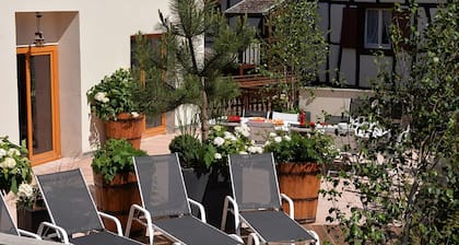 ParenthĂšse Vin - Grande maison avec terrasse pour 12 personnes Ă Eguisheim