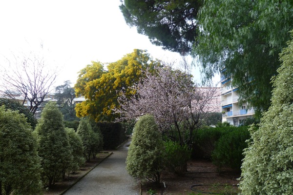 vue du jardin de l'entrée